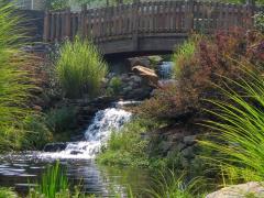 Lanier Village Estates, Gainesville, GA | Continuing Care Retirement Community Senior Living Design THW Walking Bridge waterfall
